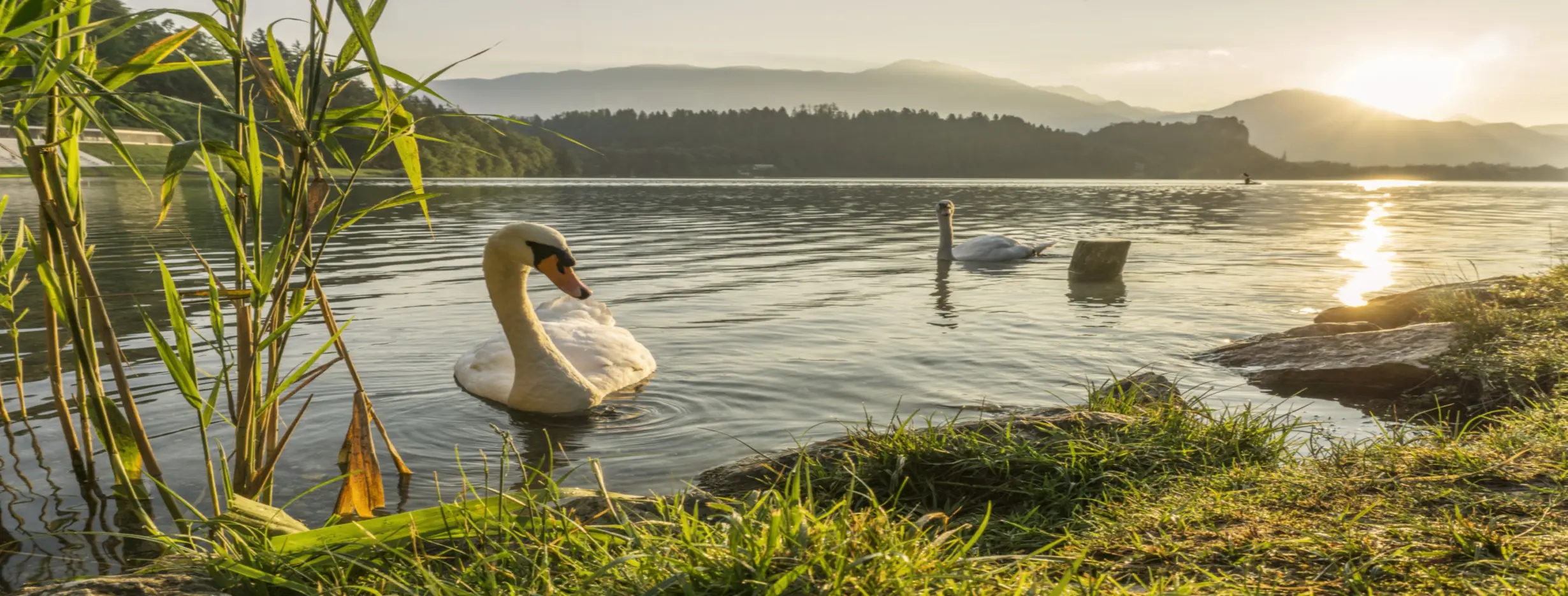 Image for Swan Lake Scenic Area